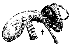 Sackpfeiff mit dem Blassbalg, Praetorius. Andere doedelzakken op een vergroting (27 kB)